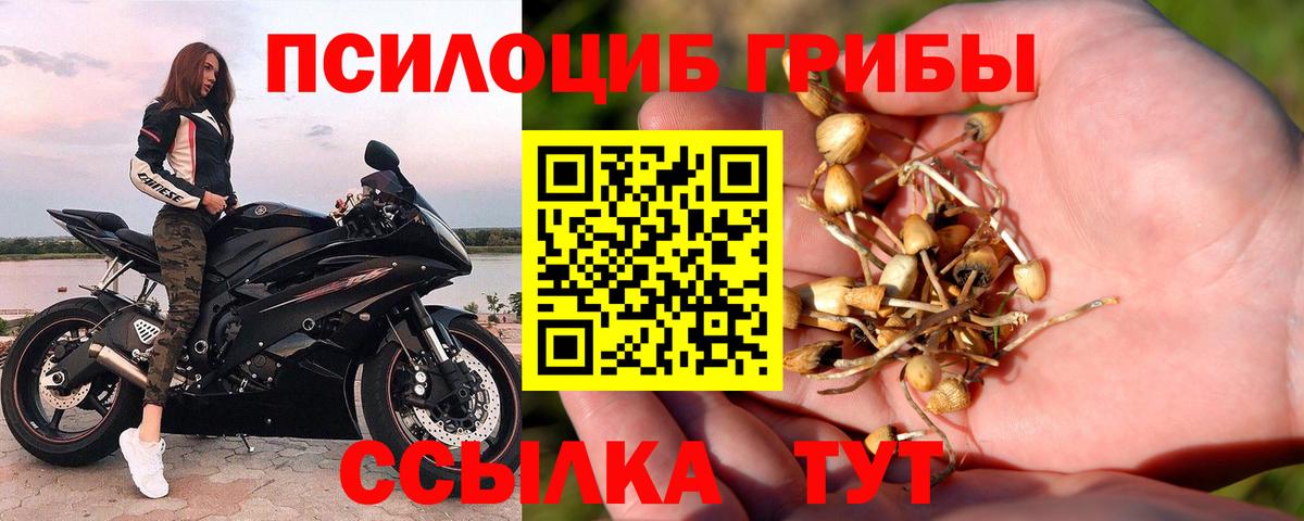 Галлюциногенные грибы мухоморы  Вход с VPN  что такое наркотик  Псилоцибиновые грибы прущие грибы  Избербаш 
